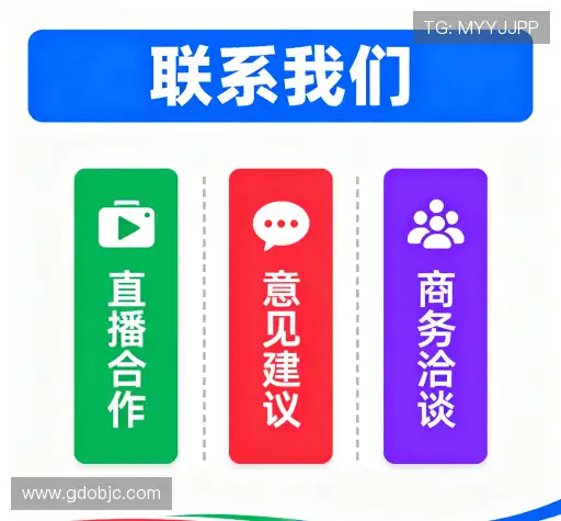 专业咨询
